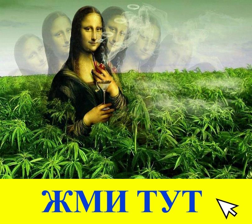 Купить наркотики в Шлиссельбурге